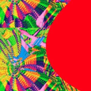 Meet your Posher, Jack